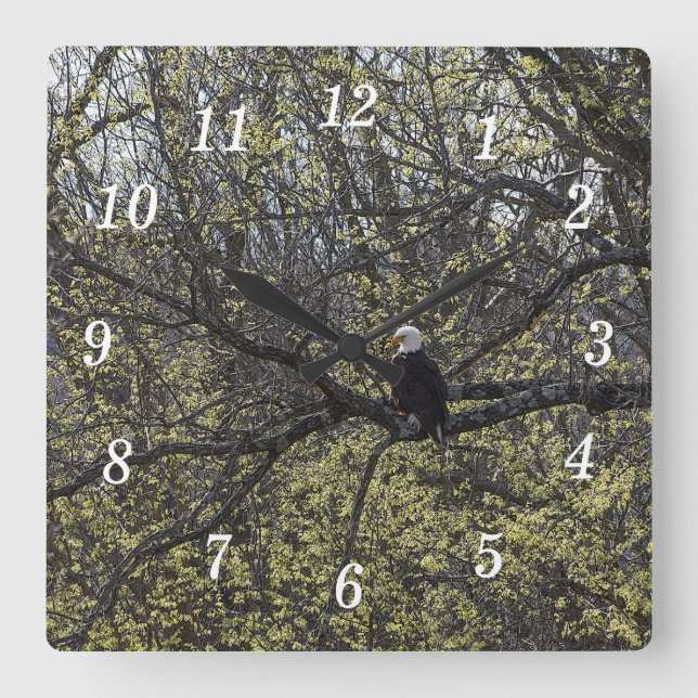 Eagle Lookout Painterly Wall Clock (Front)