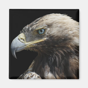 Eagle Magnet
