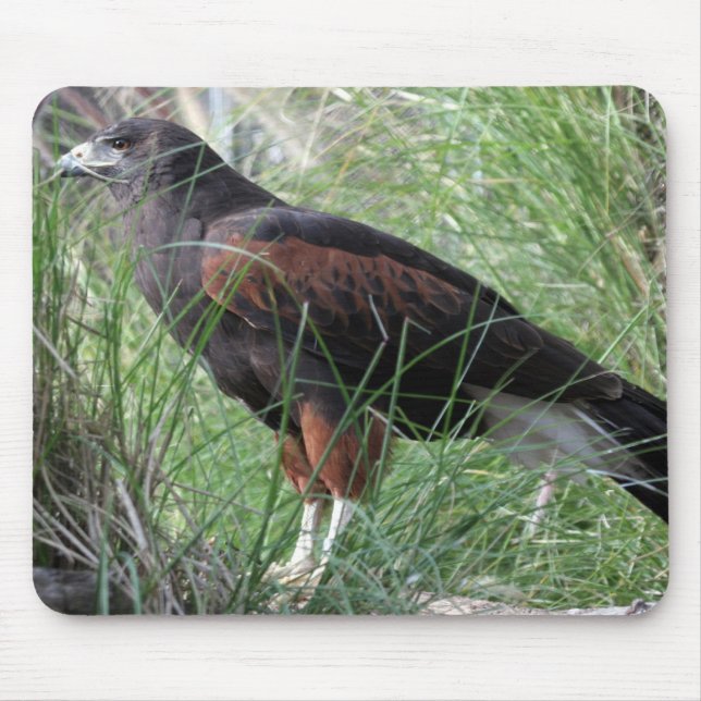 Eagle Mousepad (Front)