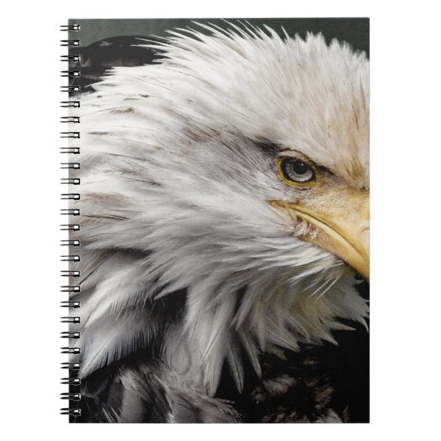 EAGLE NOTEBOOK (Front)