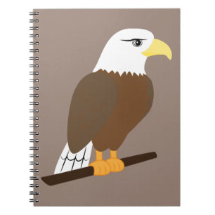 Eagle Notebook