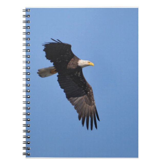 Eagle Notebook (Front)