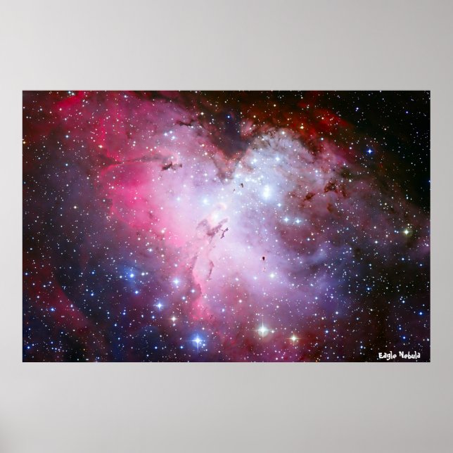 Eagle Nubla Poster (Front)