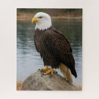 Eagle of the Quiet Shores Jigsaw Puzzle