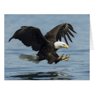 Eagle on Approach