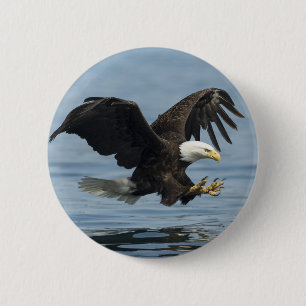 Eagle on Approach 6 Cm Round Badge