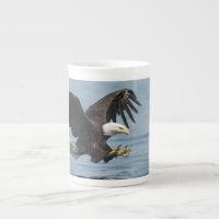 Eagle on Approach