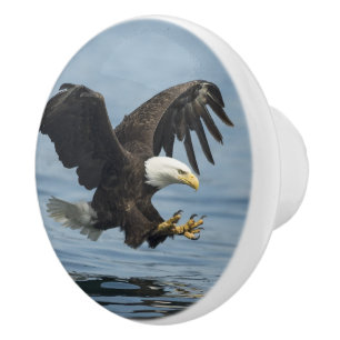Eagle on Approach Ceramic Knob