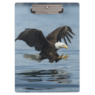 Eagle on Approach Clipboard