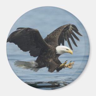 Eagle on Approach Magnet