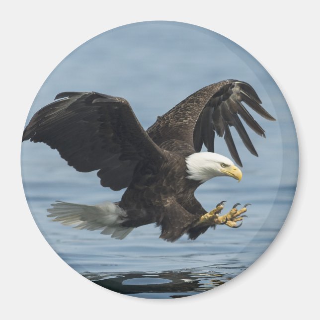 Eagle on Approach Magnet (Front)
