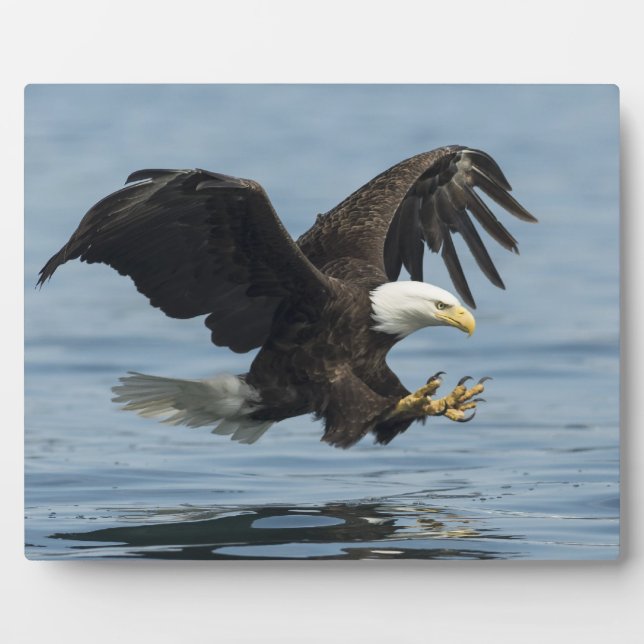 Eagle on Approach Plaque (Front)