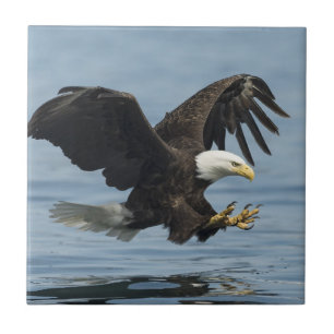Eagle on Approach Tile