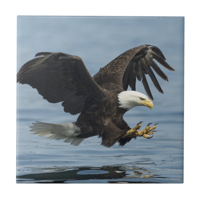 Eagle on Approach Tile (Front)