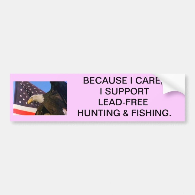 Eagle on Flag-Because I Care,  I support l... Bumper Sticker (Front)