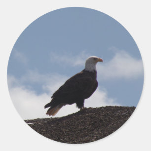 Eagle on High Ground Stickers