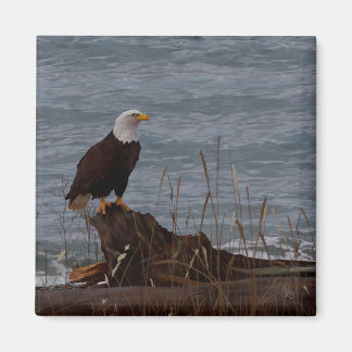 Eagle on South Beach Magnet