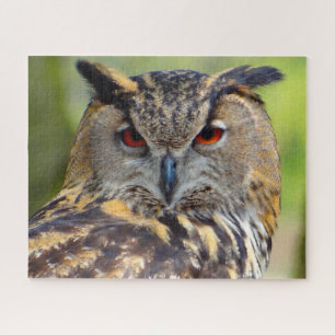 Eagle Owl-Bird of Prey. Jigsaw Puzzle