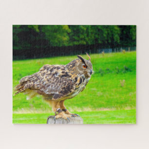 Eagle Owl-Bird of Prey. Jigsaw Puzzle