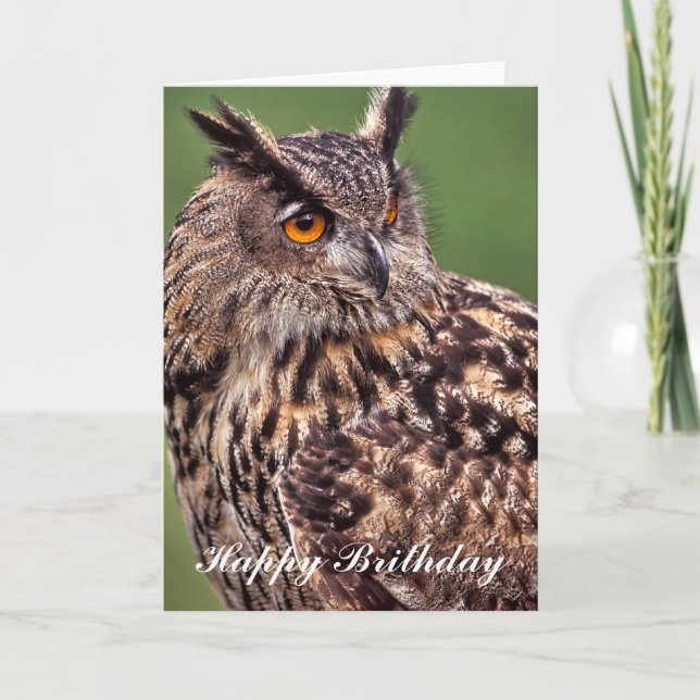 Eagle Owl Birthday Card (Front)