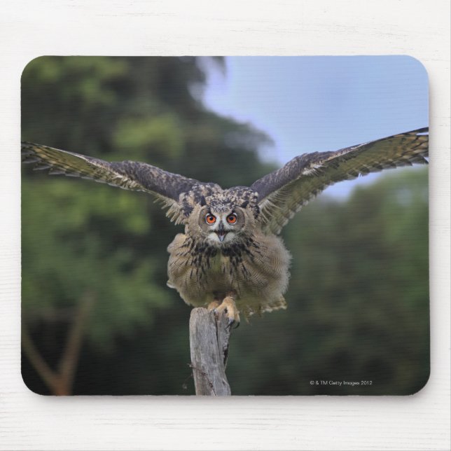 Eagle Owl (Bubo bubo) Mouse Pad (Front)