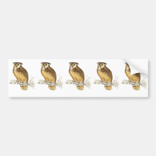Eagle Owl Bumper Sticker