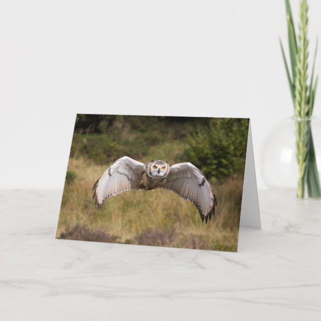 Eagle Owl "Coming at You" Card (Front)
