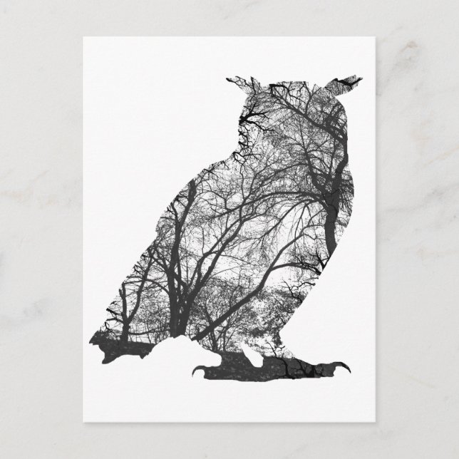 Eagle owl forest trees postcard (Front)