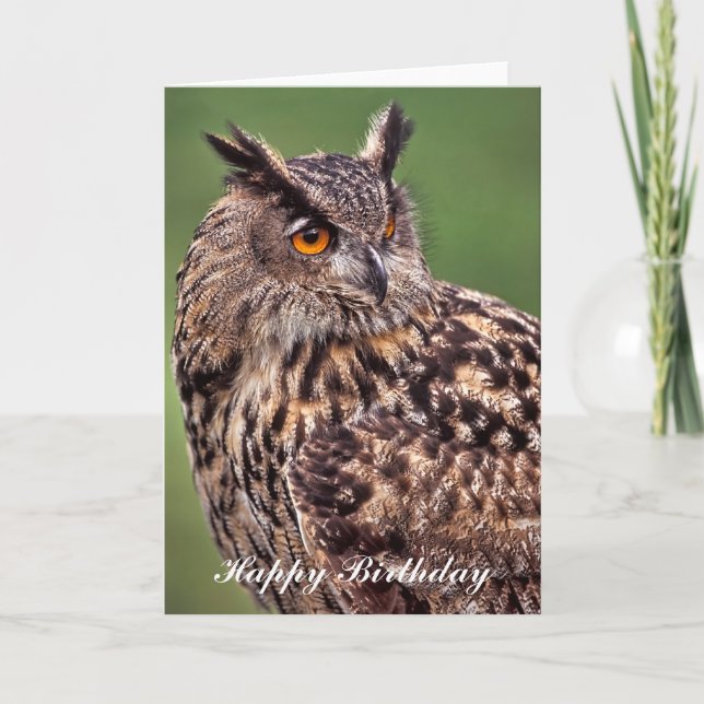 Eagle Owl - Happy Birthday Greeting Card (Front)