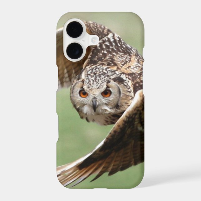 Eagle Owl In Flight (Back)