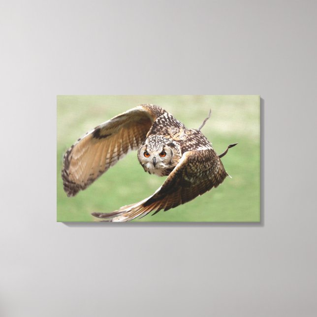 Eagle Owl In Flight Canvas Print (Front)