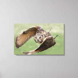 Eagle Owl In Flight Canvas Print