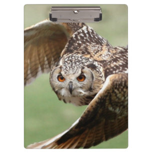 Eagle Owl In Flight Clipboard