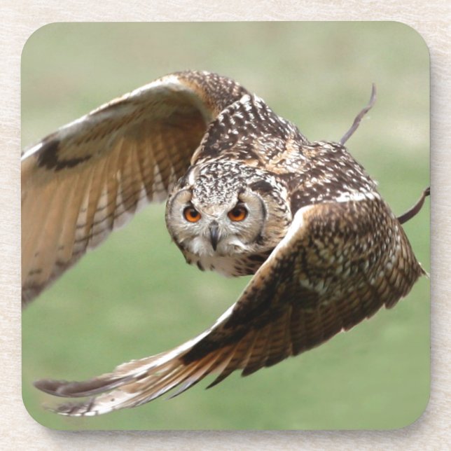 Eagle Owl In Flight Coaster (Front)