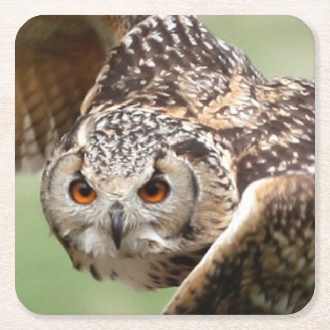 Eagle Owl In Flight Square Paper Coaster (Front)