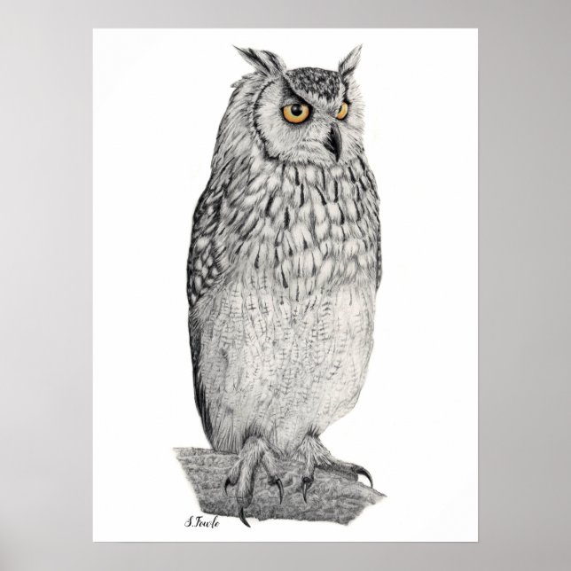 Eagle Owl Pencil Drawing Poster (Front)