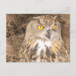 Eagle Owl Rugged Background Postcard