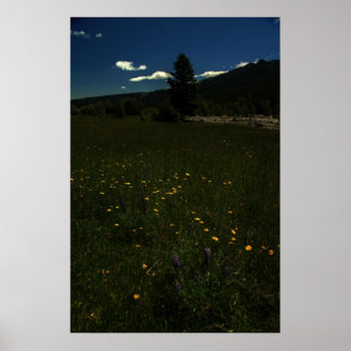 Eagle Park Wildflowers Poster