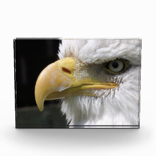 EAGLE PHOTO BLOCK