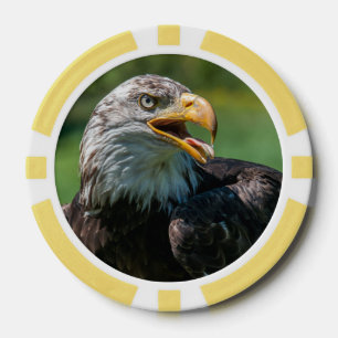 eagle photo poker chips