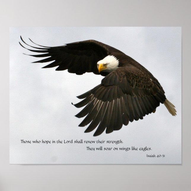 Eagle Photo with Bible Verse Poster (Front)