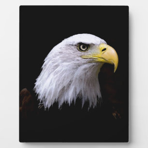 Eagle Plaque