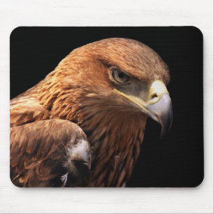 Eagle portrait isolated on black mouse pad