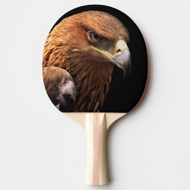 Eagle portrait isolated on black ping pong paddle (Front)