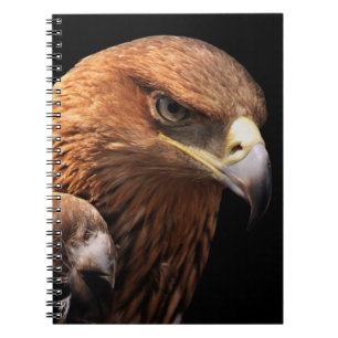 Eagle portrait isolated on black spiral notebook