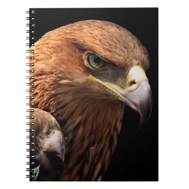 Eagle portrait isolated on black spiral notebook (Front)