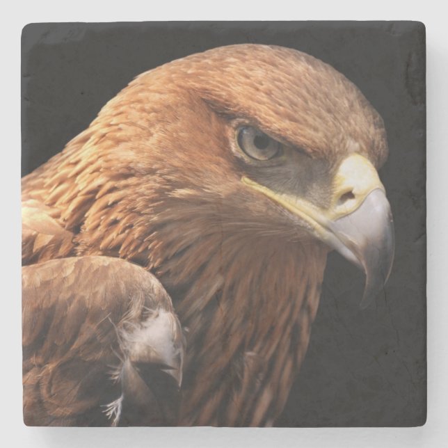 Eagle portrait isolated on black stone coaster (Front)