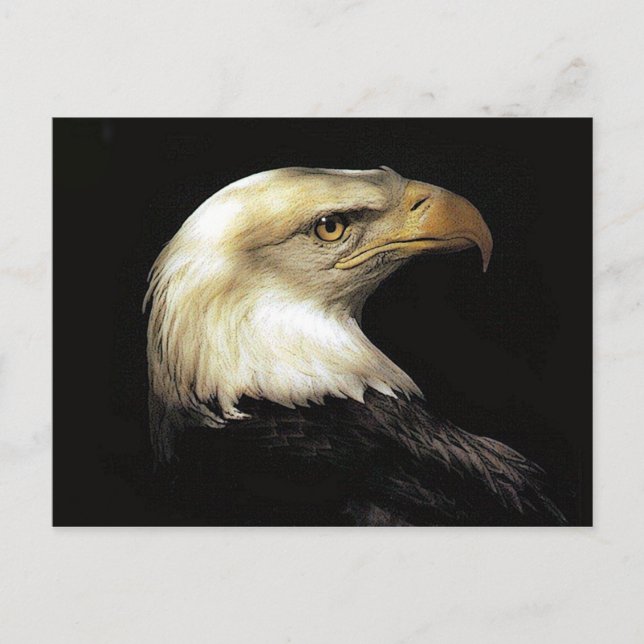 Eagle Postcard (Front)