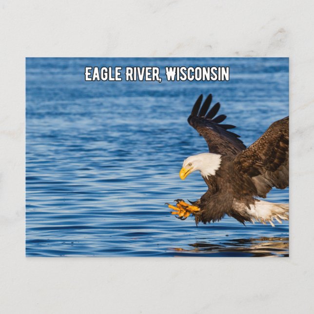 Eagle River Flying Eagle Wisconsin Postcard (Front)