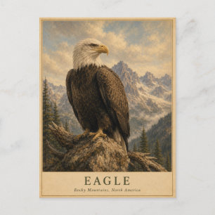 Eagle Rocky Mountains VINTAGE Postcard